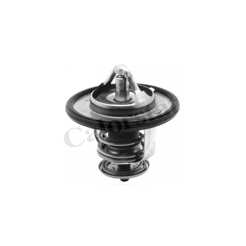 Thermostat d'eau CALORSTAT BY VERNET TH6587.82J