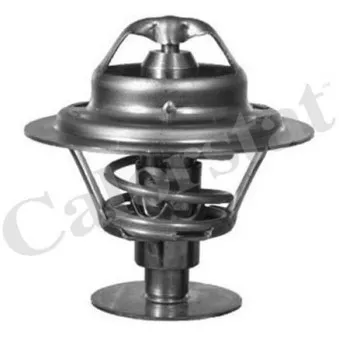 Thermostat d'eau CALORSTAT BY VERNET TH6593.82