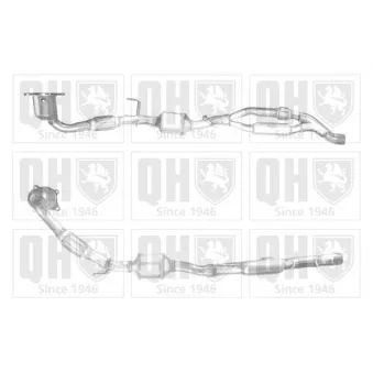 Catalyseur QUINTON HAZELL QCAT91929H