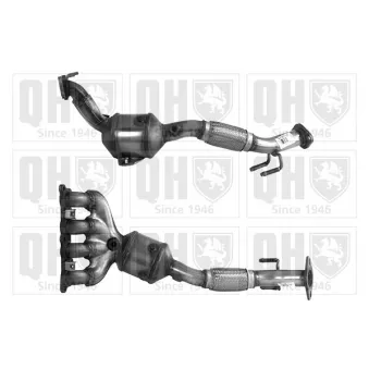 Catalyseur QUINTON HAZELL