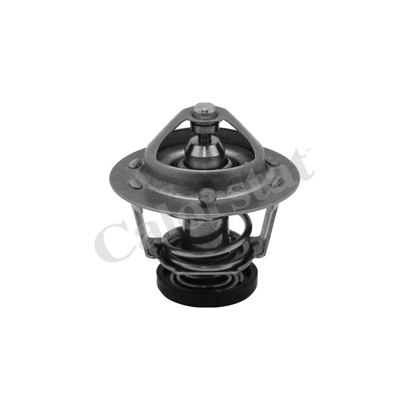 Thermostat d'eau CALORSTAT BY VERNET TH6599.78J