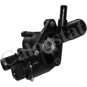 Thermostat d'eau CALORSTAT BY VERNET TH6666.89J