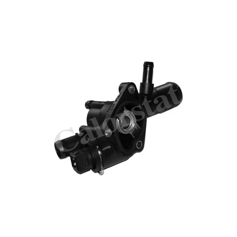 Thermostat d'eau CALORSTAT BY VERNET TH6666.89J