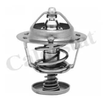 Thermostat d'eau CALORSTAT BY VERNET TH6702.82J