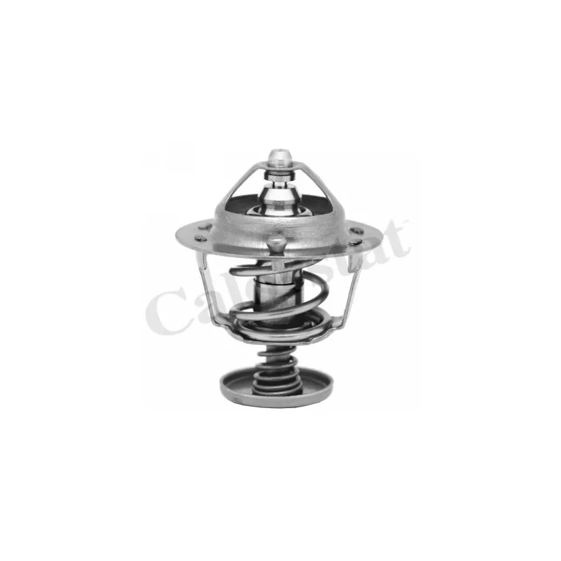 Thermostat d'eau CALORSTAT BY VERNET TH6702.82J