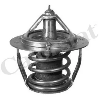 Thermostat d'eau CALORSTAT BY VERNET TH6736.78J