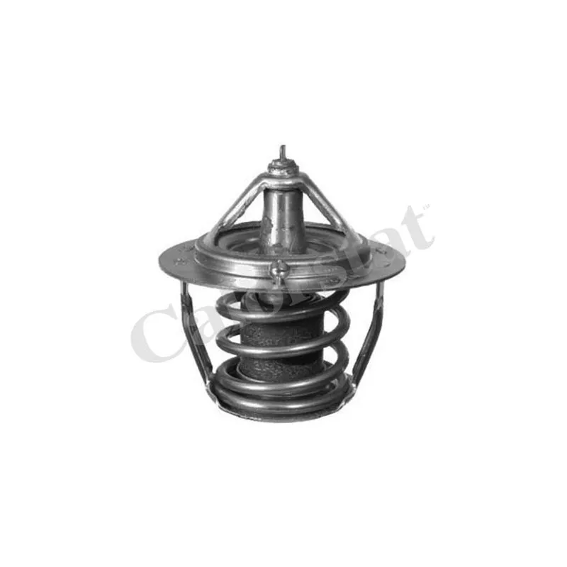 Thermostat d'eau CALORSTAT BY VERNET TH6736.78J
