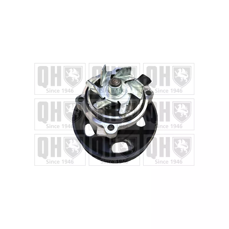 Pompe à eau, refroidissement du moteur QUINTON HAZELL QCP3985