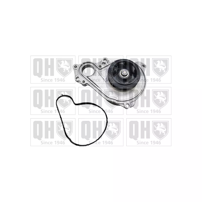 Pompe à eau, refroidissement du moteur QUINTON HAZELL QCP3988