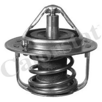Thermostat d'eau CALORSTAT BY VERNET TH6737.82J