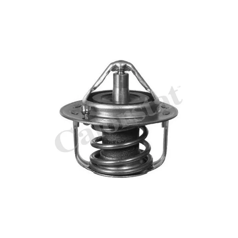 Thermostat d'eau CALORSTAT BY VERNET TH6737.88J