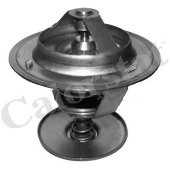 Thermostat d'eau CALORSTAT BY VERNET TH6779.82