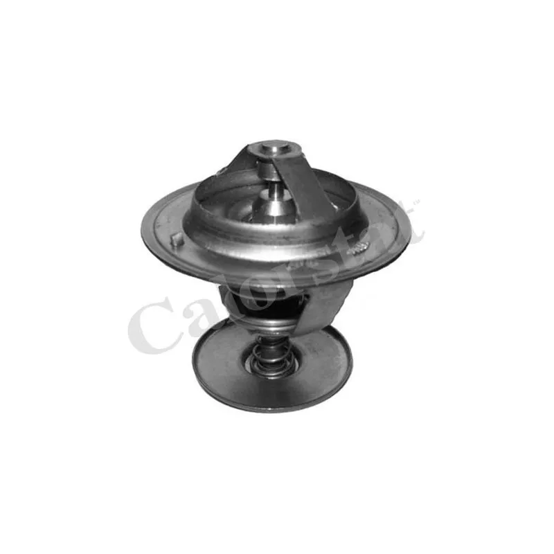 Thermostat d'eau CALORSTAT BY VERNET TH6779.82