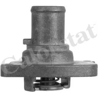 Thermostat d'eau CALORSTAT BY VERNET