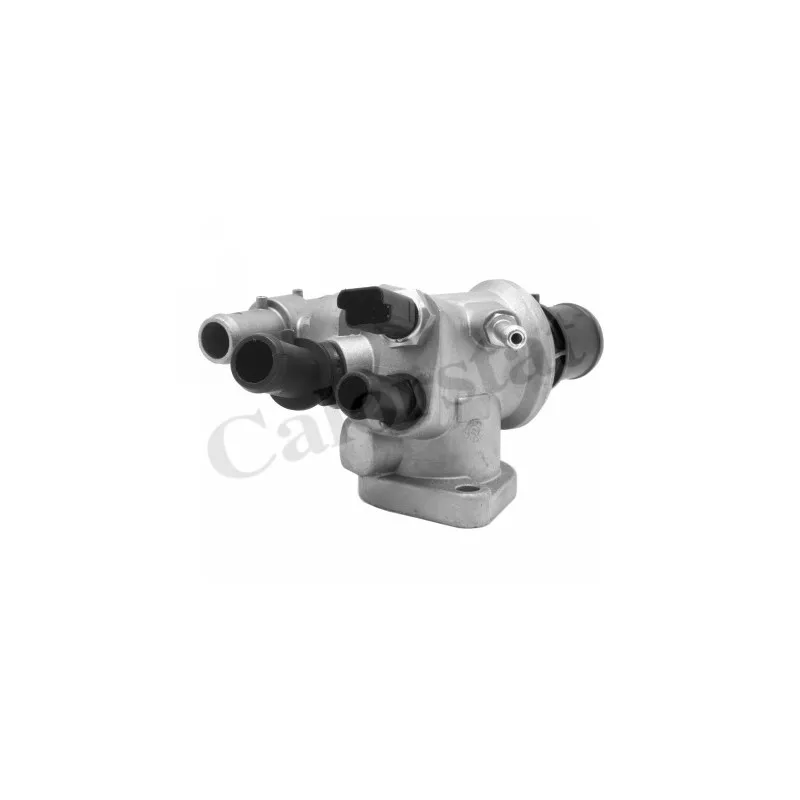 Thermostat d'eau CALORSTAT BY VERNET TH6825.88J