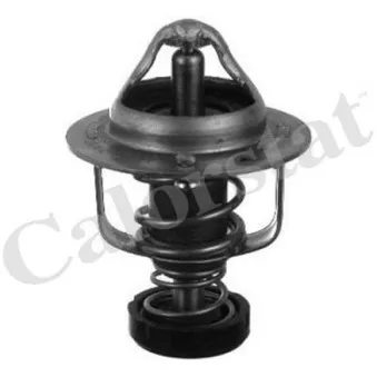 Thermostat d'eau CALORSTAT BY VERNET TH6828.82
