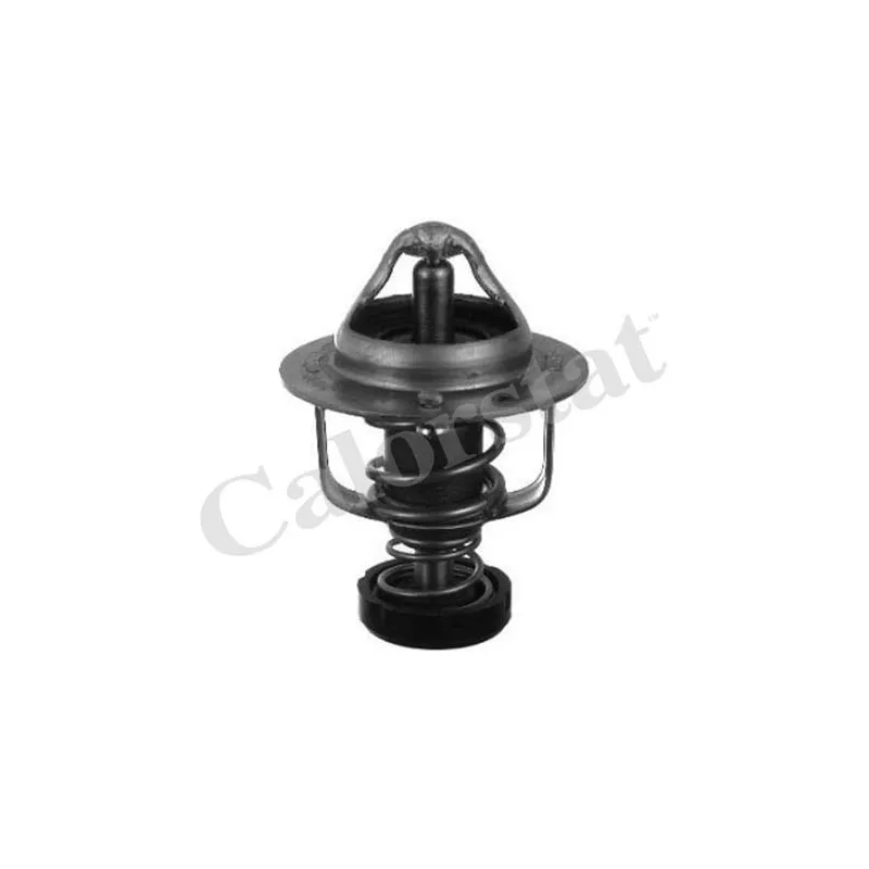 Thermostat d'eau CALORSTAT BY VERNET TH6828.82
