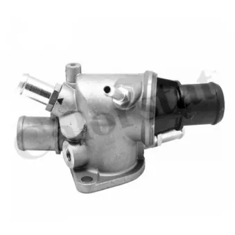 Thermostat d'eau CALORSTAT BY VERNET TH6834.88J