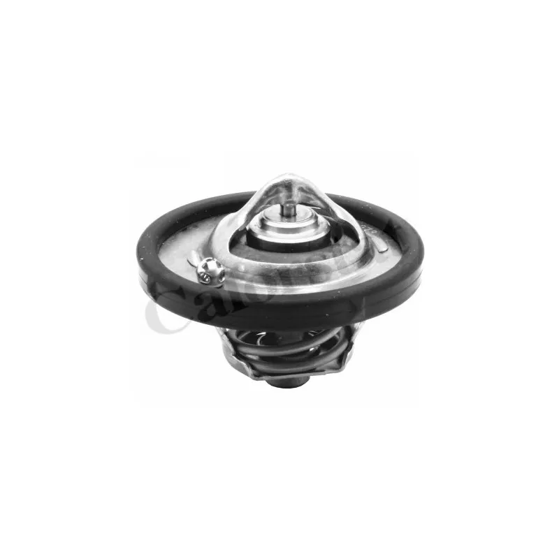 Thermostat d'eau CALORSTAT BY VERNET TH6837.74J