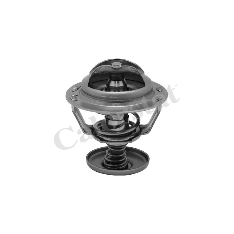 Thermostat d'eau CALORSTAT BY VERNET TH6838.82J