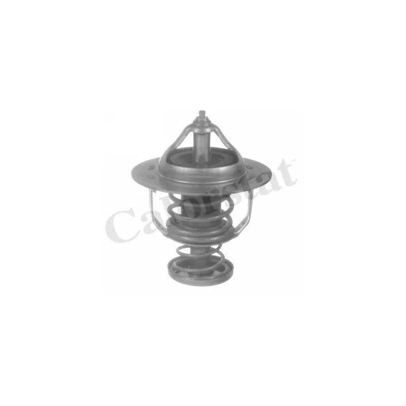Thermostat d'eau CALORSTAT BY VERNET TH6840.82J