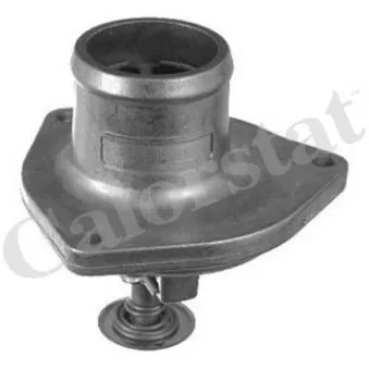 Thermostat d'eau CALORSTAT BY VERNET