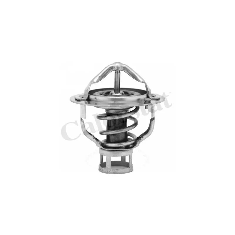Thermostat d'eau CALORSTAT BY VERNET TH6851.76