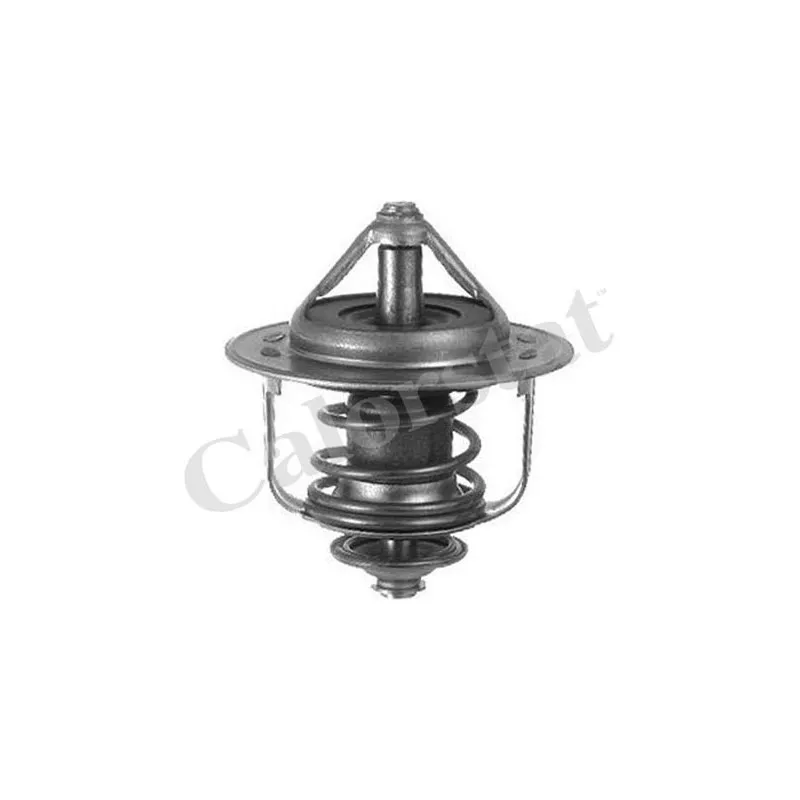 Thermostat d'eau CALORSTAT BY VERNET TH6858.89J