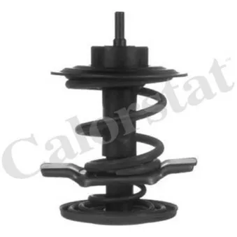 Thermostat d'eau CALORSTAT BY VERNET TH6862.83J