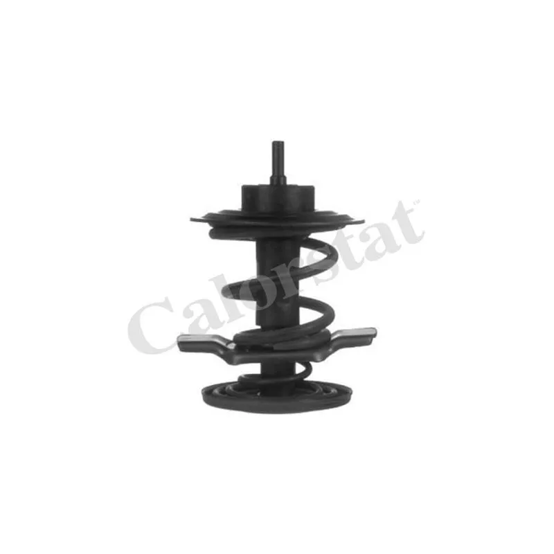 Thermostat d'eau CALORSTAT BY VERNET TH6862.83J