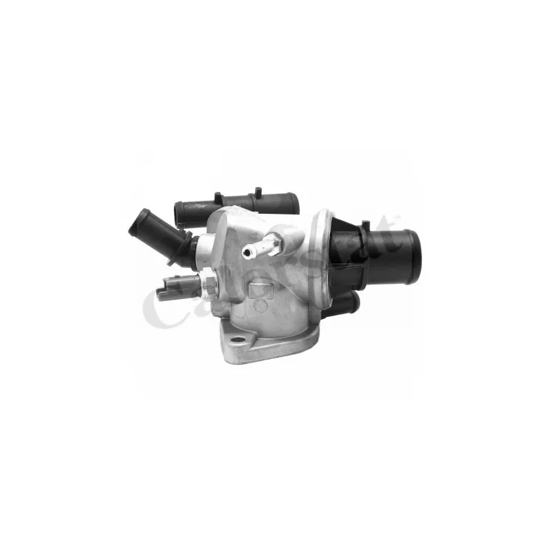 Thermostat d'eau CALORSTAT BY VERNET TH6869.88J