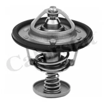 Thermostat d'eau CALORSTAT BY VERNET TH6870.82J