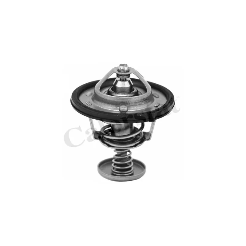 Thermostat d'eau CALORSTAT BY VERNET TH6870.82J