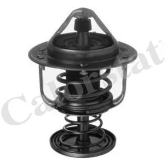 Thermostat d'eau CALORSTAT BY VERNET TH6876.80J