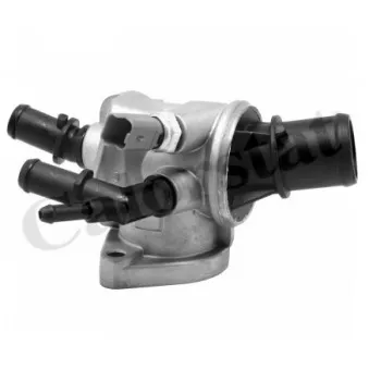Thermostat d'eau CALORSTAT BY VERNET