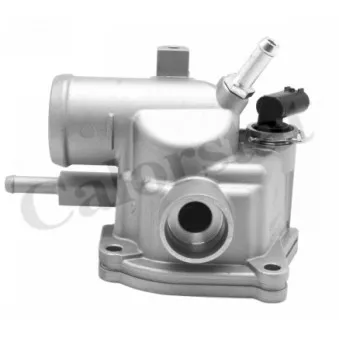 Thermostat d'eau CALORSTAT BY VERNET