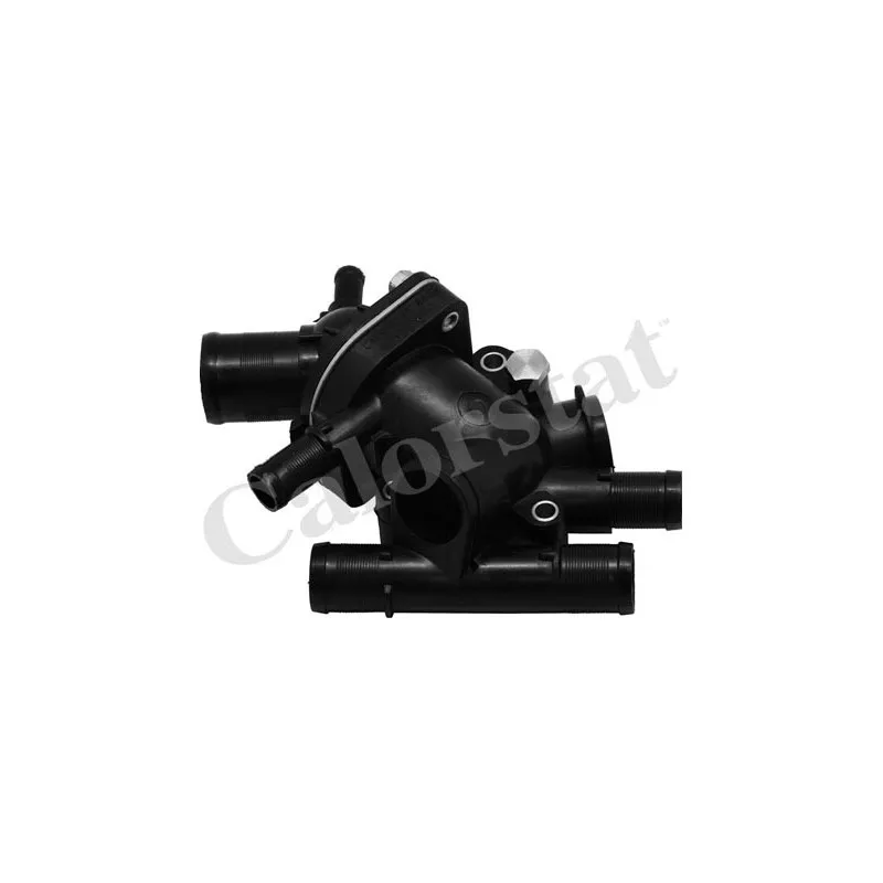 Thermostat d'eau CALORSTAT BY VERNET TH6923.83J