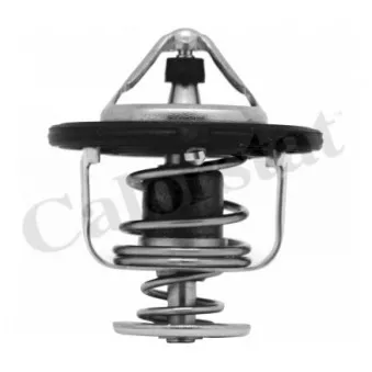 Thermostat d'eau CALORSTAT BY VERNET TH6948.82J