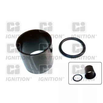 Bague d'étanchéité, porte-injecteur QUINTON HAZELL XPSI180K