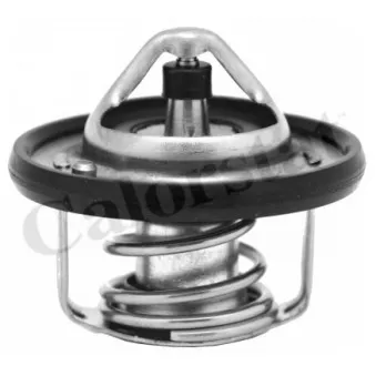 Thermostat d'eau CALORSTAT BY VERNET TH6949.82J