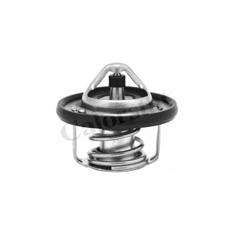 Thermostat d'eau CALORSTAT BY VERNET TH6949.82J
