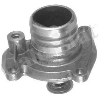 Thermostat d'eau CALORSTAT BY VERNET TH6951.92J