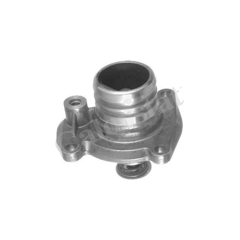 Thermostat d'eau CALORSTAT BY VERNET TH6951.92J