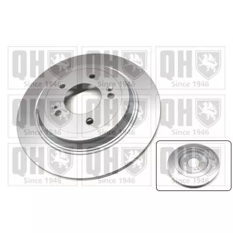 Jeu de 2 disques de frein arrière QUINTON HAZELL BDC6170