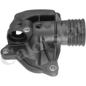 Thermostat d'eau CALORSTAT BY VERNET TH6952.88J