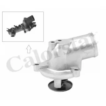 Thermostat d'eau CALORSTAT BY VERNET