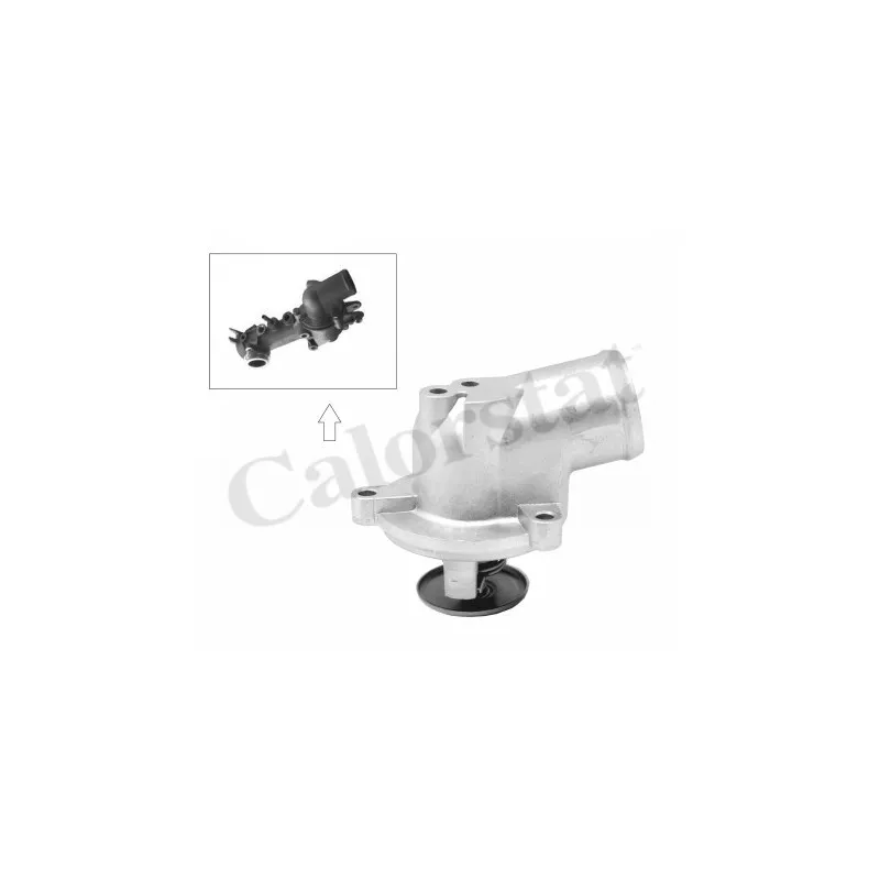 Thermostat d'eau CALORSTAT BY VERNET TH6954.87J