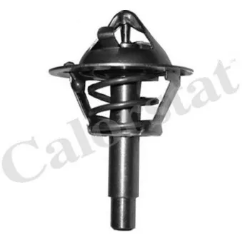 Thermostat d'eau CALORSTAT BY VERNET TH6962.90J