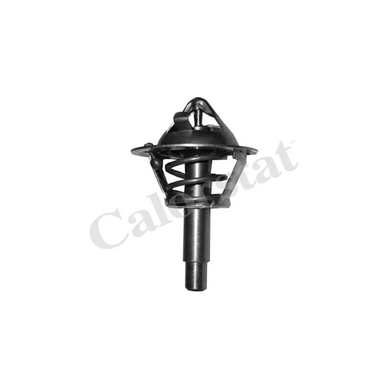 Thermostat d'eau CALORSTAT BY VERNET TH6962.90J