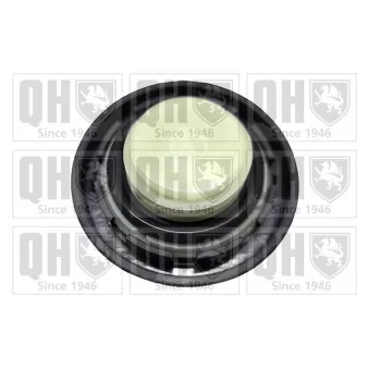 Bouchon, goulotte de remplissage d'huile QUINTON HAZELL FC583